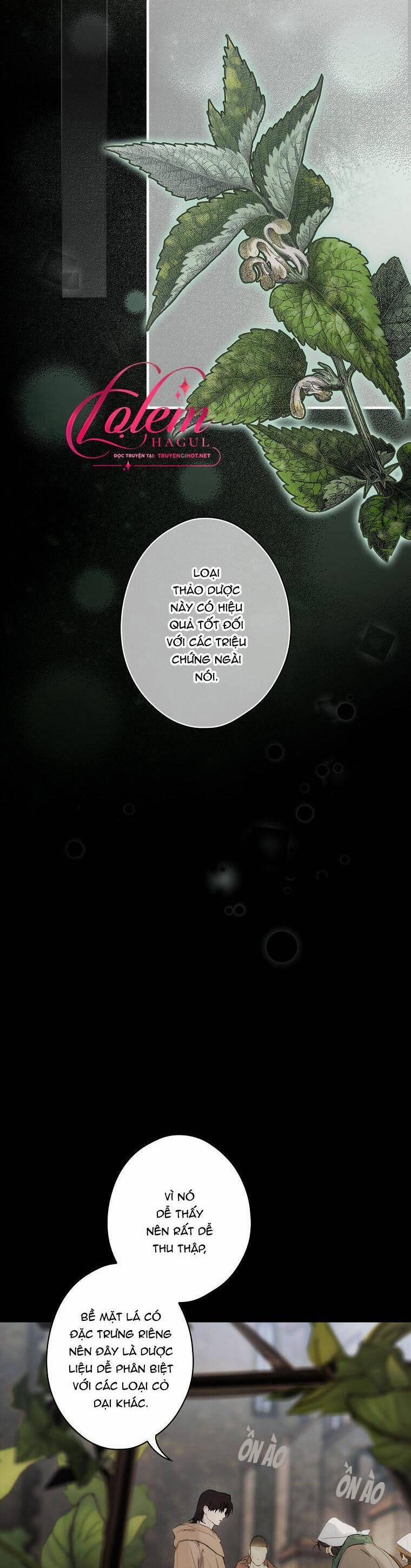 Câu Chuyện Cổ Tích Của Mẹ Kế 104 trang 13