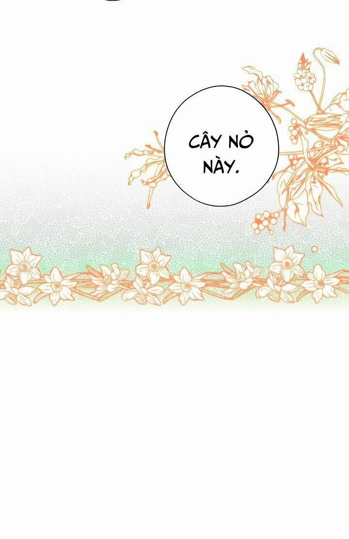 Câu Chuyện Cổ Tích Của Mẹ Kế 36 trang 20