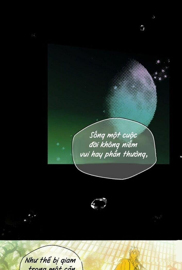 Câu Chuyện Cổ Tích Của Mẹ Kế 47 trang 17