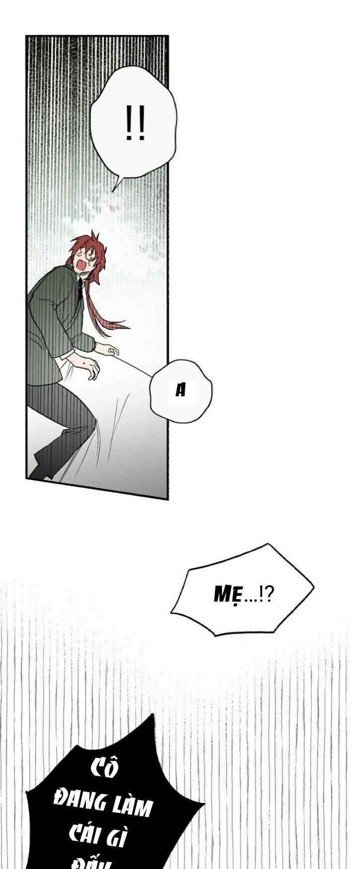 Câu Chuyện Cổ Tích Của Mẹ Kế 47 trang 22