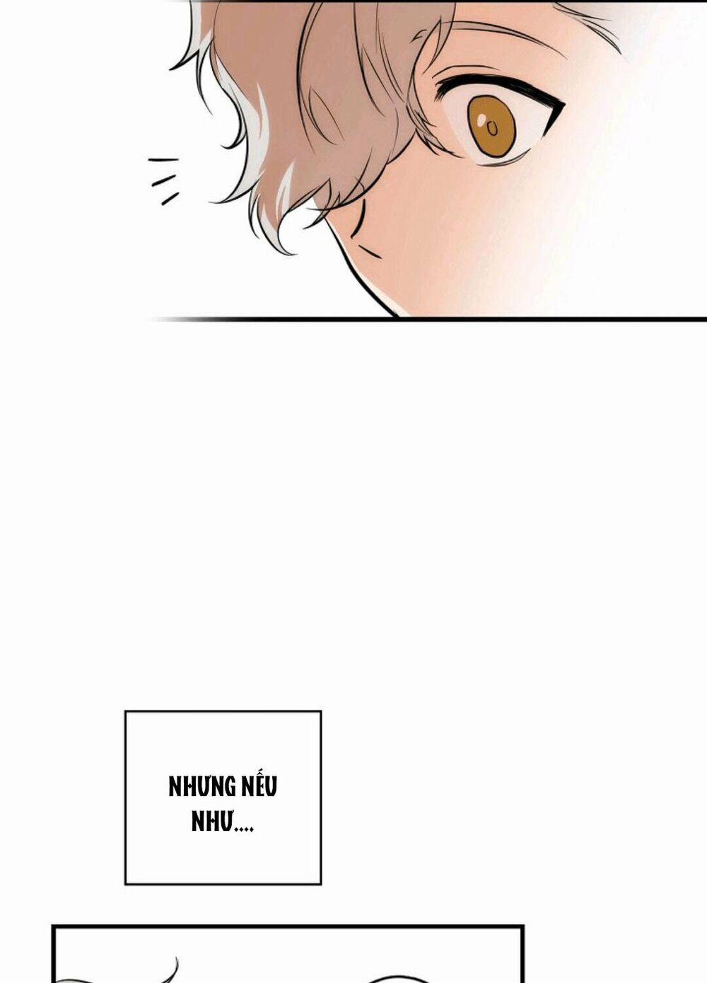 Câu Chuyện Cổ Tích Của Mẹ Kế 64.5 trang 1