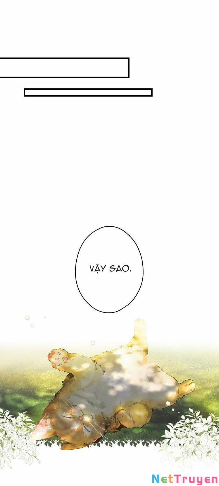 Câu Chuyện Cổ Tích Của Mẹ Kế 74 trang 18