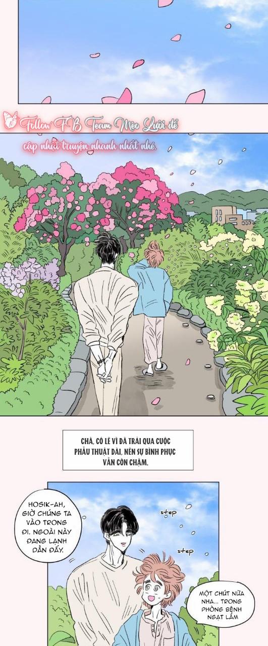 Câu Chuyện Của Hosik 77 trang 10