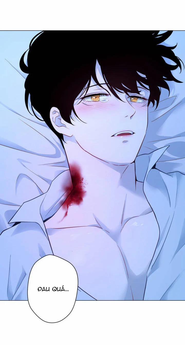 Câu Chuyện Của Nàng Giselle 55.2 trang 0