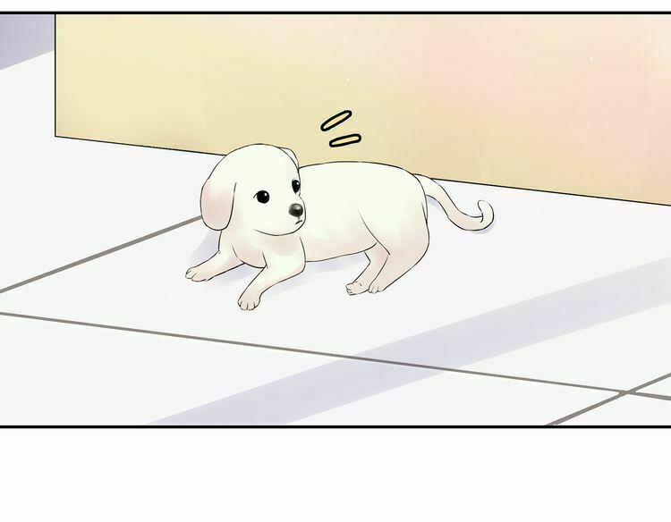 Câu Chuyện Săn Vợ 14 trang 39