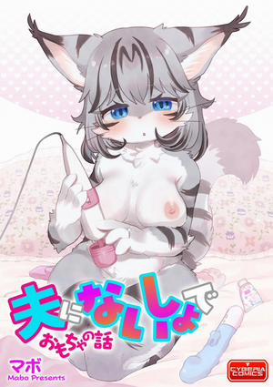 Đọc truyện tranh Câu chuyện về đồ chơi ở nhà của vợ