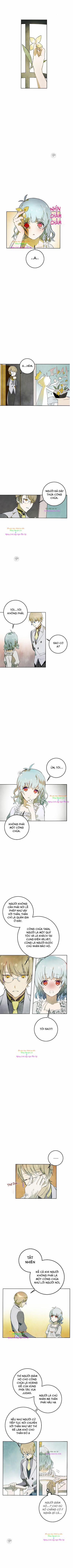 Câu Chuyện Về Đứa Con Hoang Bị Bỏ Rơi 2 trang 2