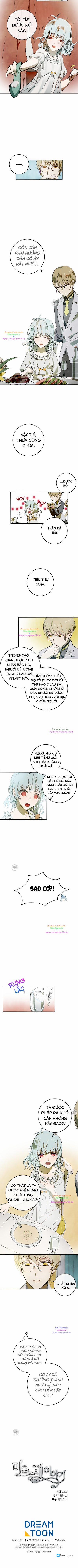 Câu Chuyện Về Đứa Con Hoang Bị Bỏ Rơi 2 trang 4