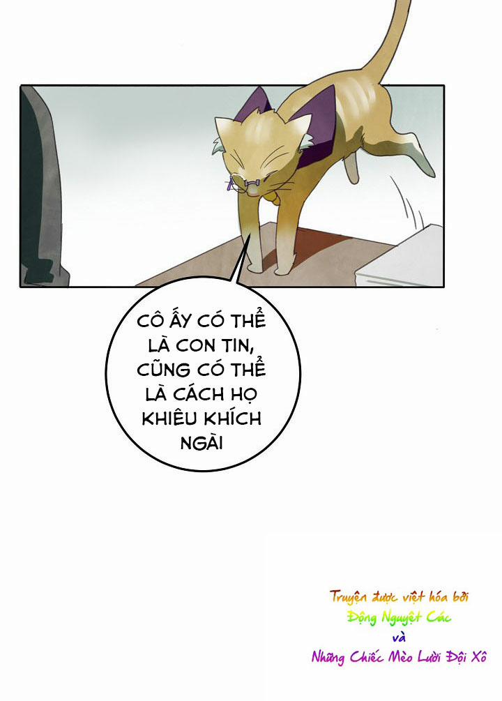 Câu Chuyện Về Đứa Con Hoang Bị Bỏ Rơi 3 trang 11