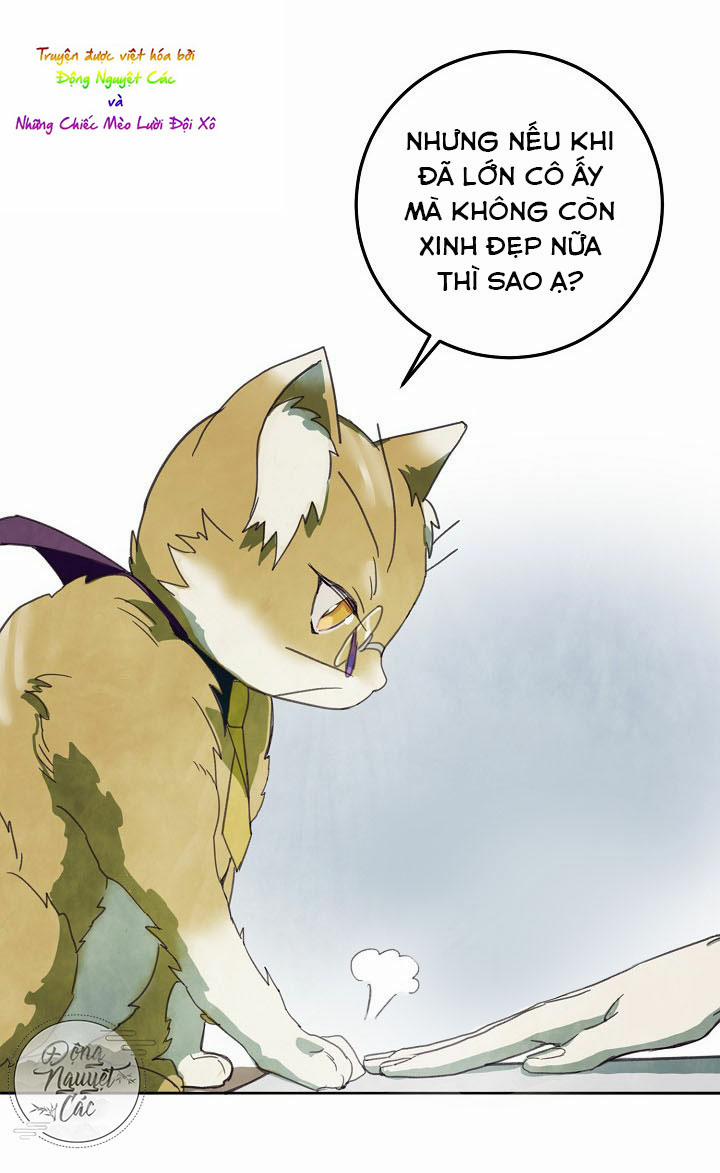 Câu Chuyện Về Đứa Con Hoang Bị Bỏ Rơi 3 trang 24