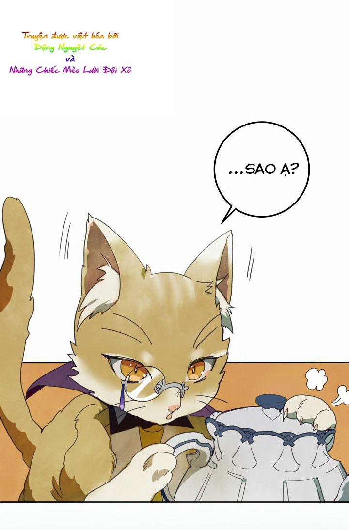 Câu Chuyện Về Đứa Con Hoang Bị Bỏ Rơi 3 trang 6