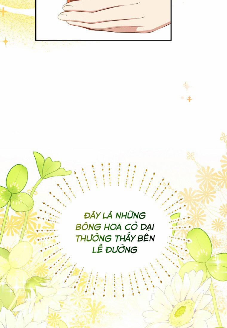 Câu Chuyện Về Gia Tộc Beaty 19 trang 19