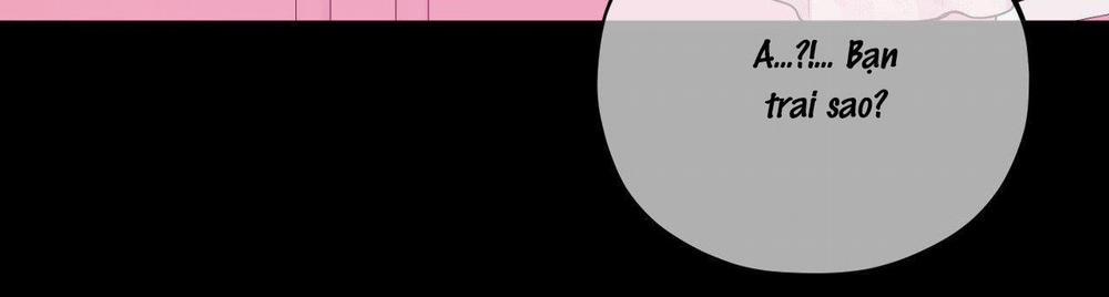 Cậu Có Thể Ngừng Thích Tôi Được Không? 2 trang 42