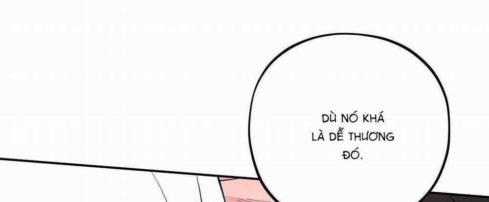 Cậu Có Thể Ngừng Thích Tôi Được Không? 5 H+ trang 23