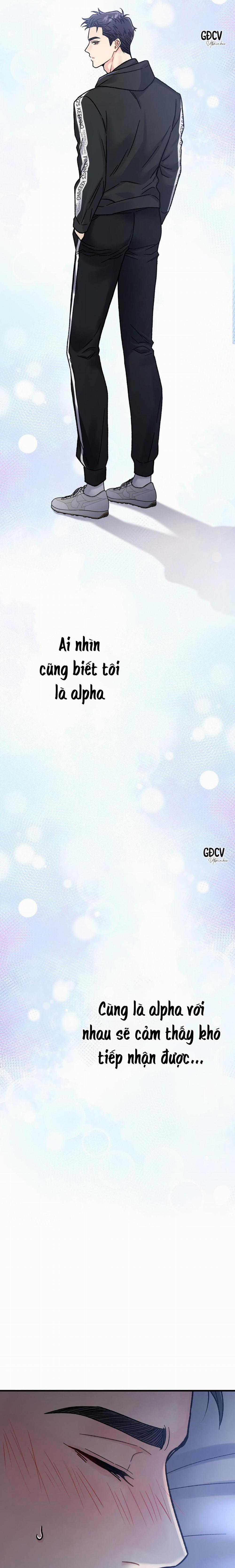 CẬU ĐÂU PHẢI LÀ GU CỦA TÔI? 3 0 trang 33