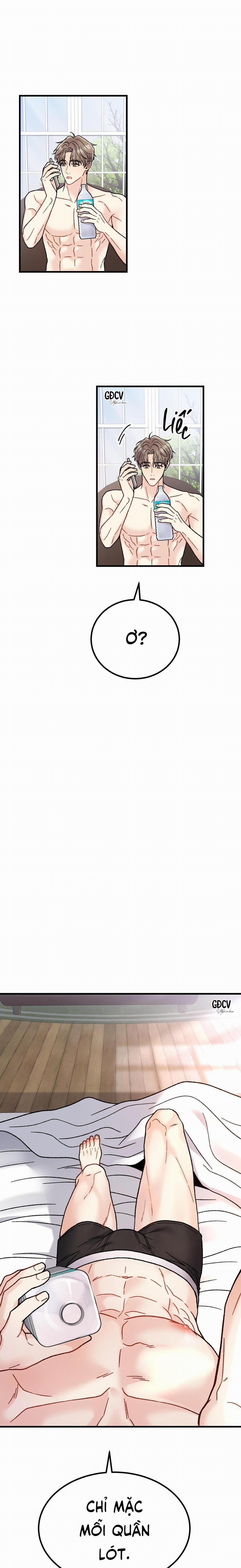 CẬU ĐÂU PHẢI LÀ GU CỦA TÔI? 4 trang 26