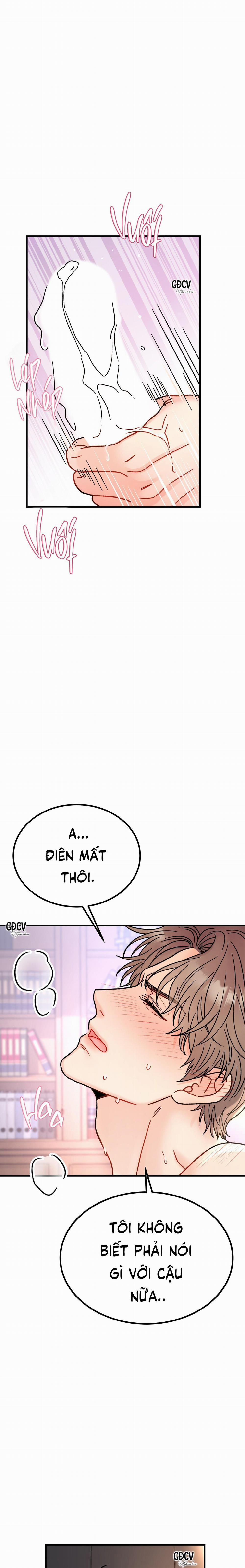 CẬU ĐÂU PHẢI LÀ GU CỦA TÔI? 5 0 trang 3