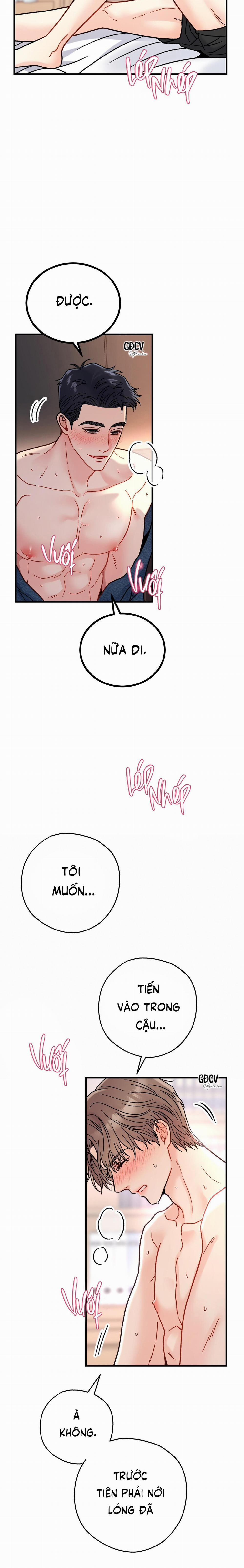 CẬU ĐÂU PHẢI LÀ GU CỦA TÔI? 5 0 trang 5