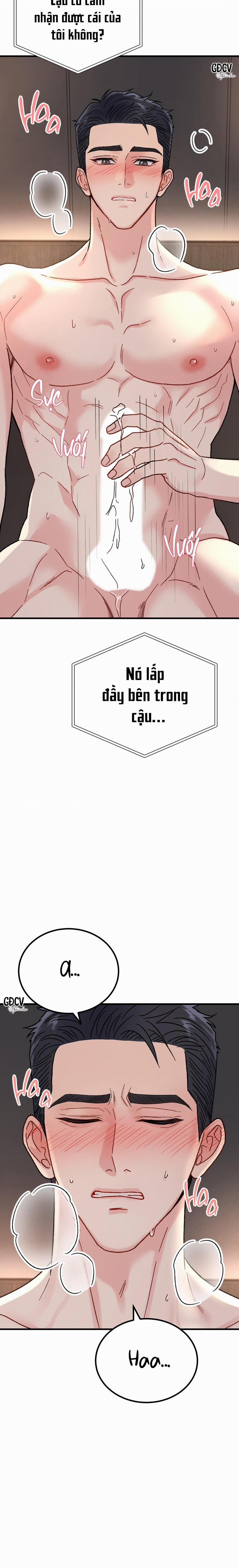 CẬU ĐÂU PHẢI LÀ GU CỦA TÔI? 6 0 trang 22