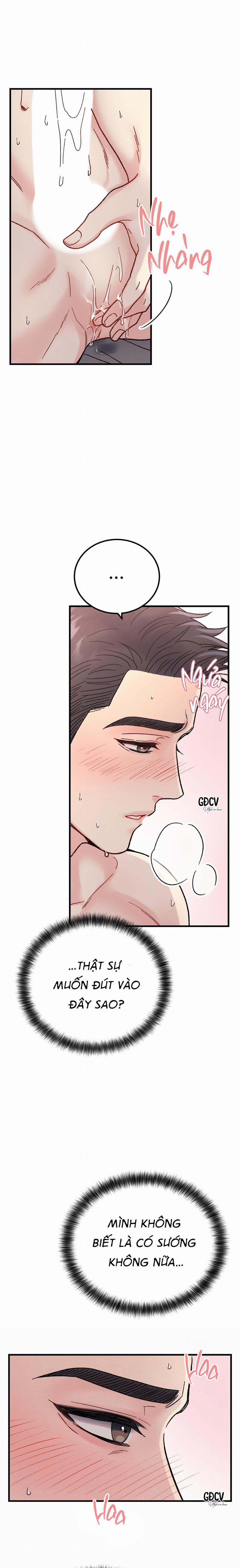 CẬU ĐÂU PHẢI LÀ GU CỦA TÔI? 6 0 trang 23