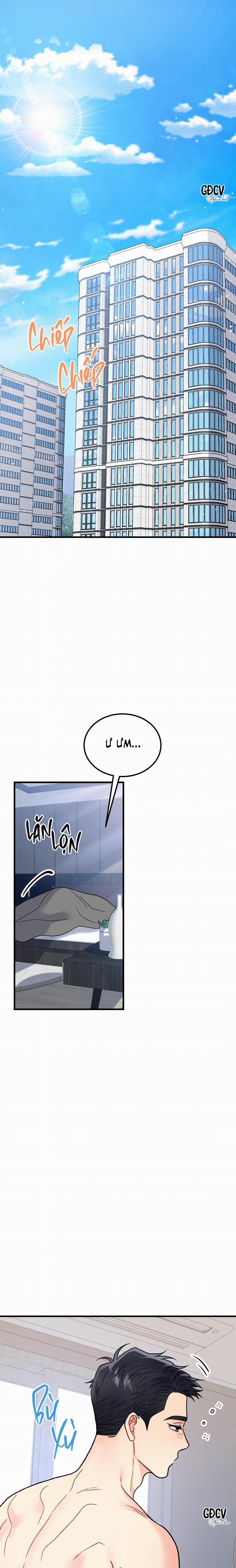 CẬU ĐÂU PHẢI LÀ GU CỦA TÔI? 7 trang 0