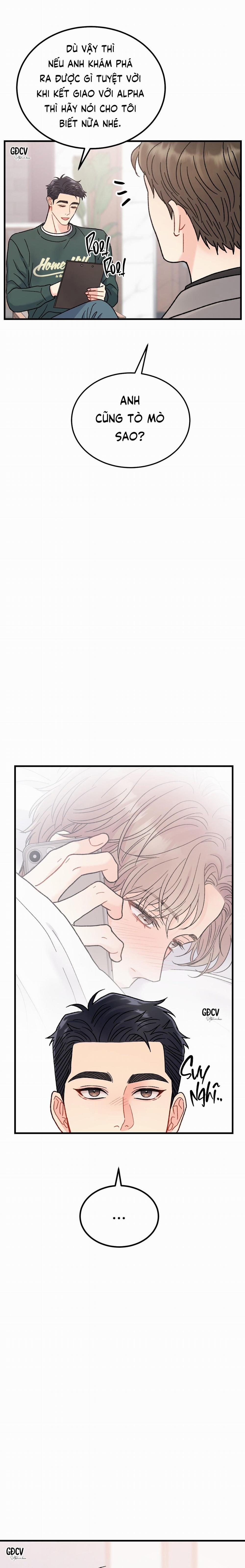 CẬU ĐÂU PHẢI LÀ GU CỦA TÔI? 7 trang 13