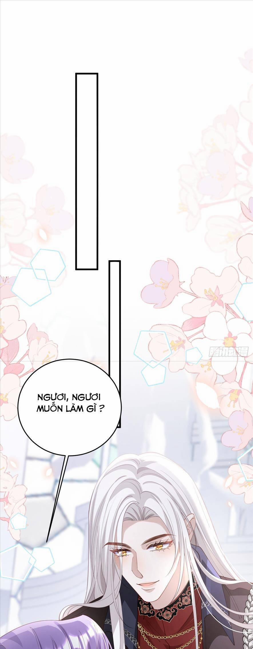 Cầu Hôn Giáo Hoàng 18 trang 3