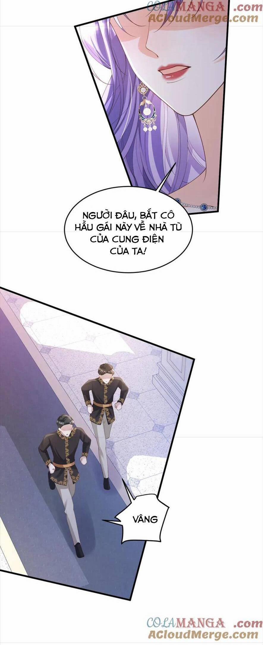 Cầu Hôn Giáo Hoàng 20 trang 8