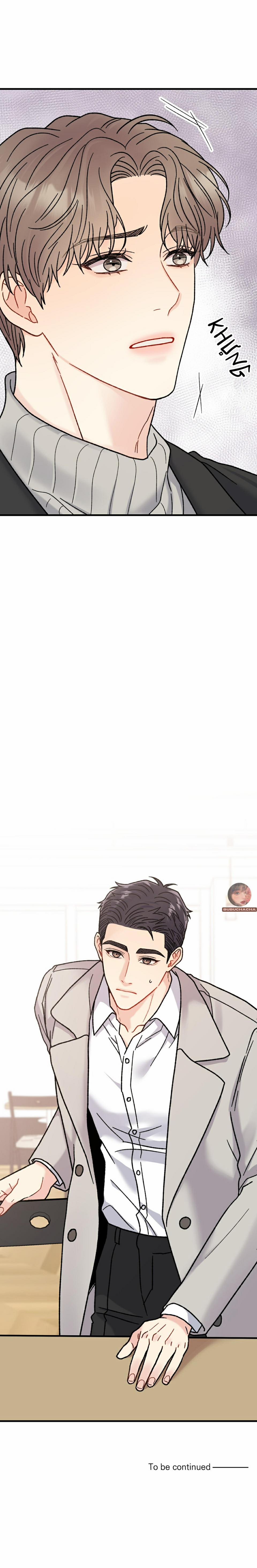 Cậu Không Phải Hình Mẫu Lý Tưởng Của Tôi 8 trang 13