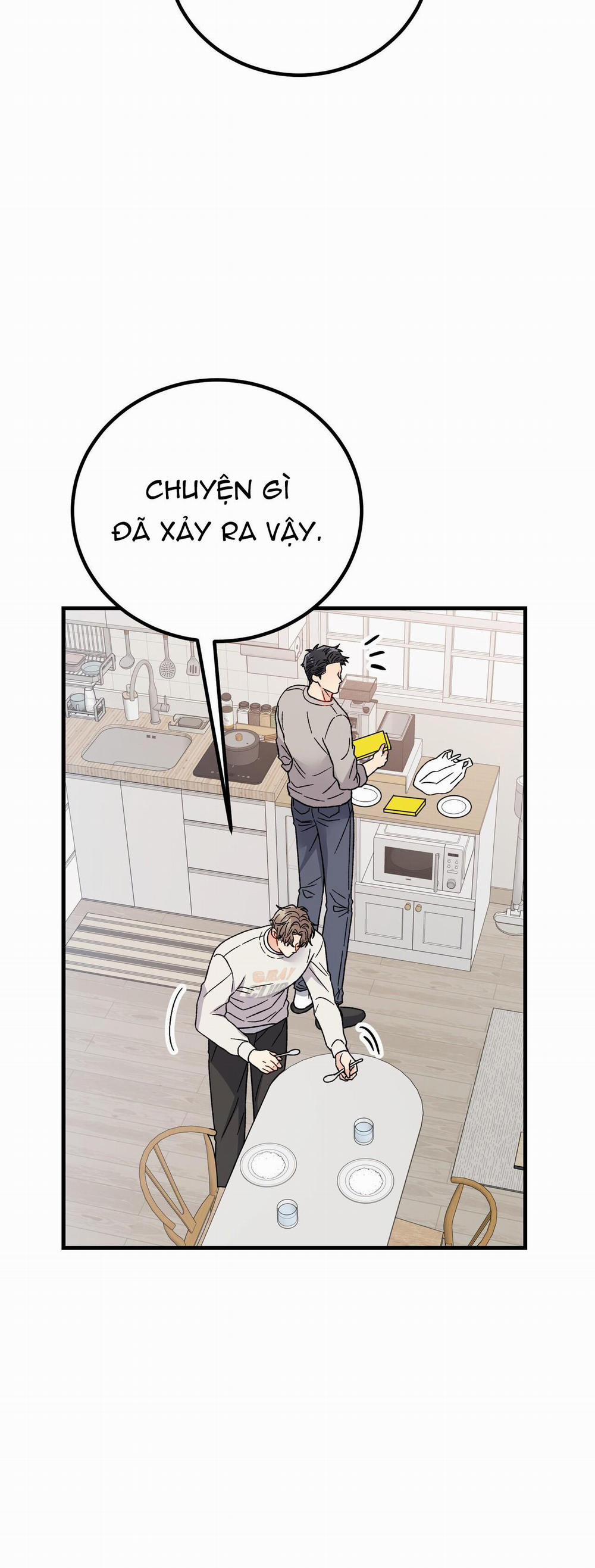 Cậu Không Phải Là Gu Của Tôi 13 trang 10