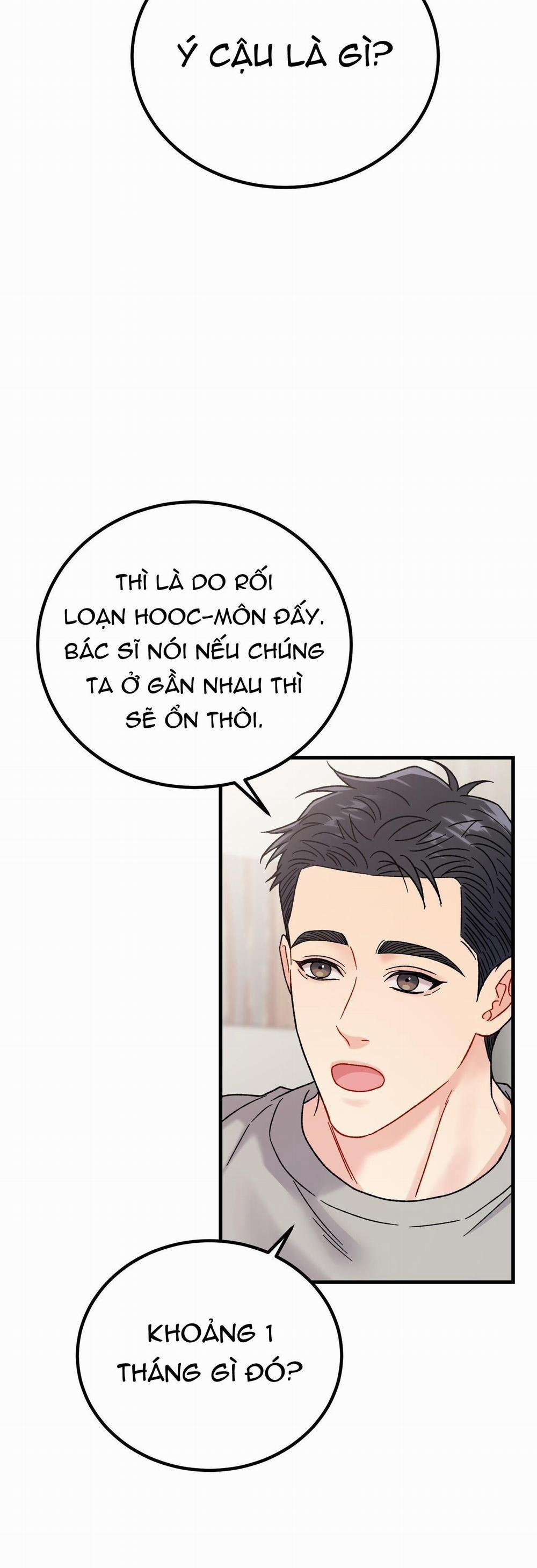 Cậu Không Phải Là Gu Của Tôi 13 trang 16