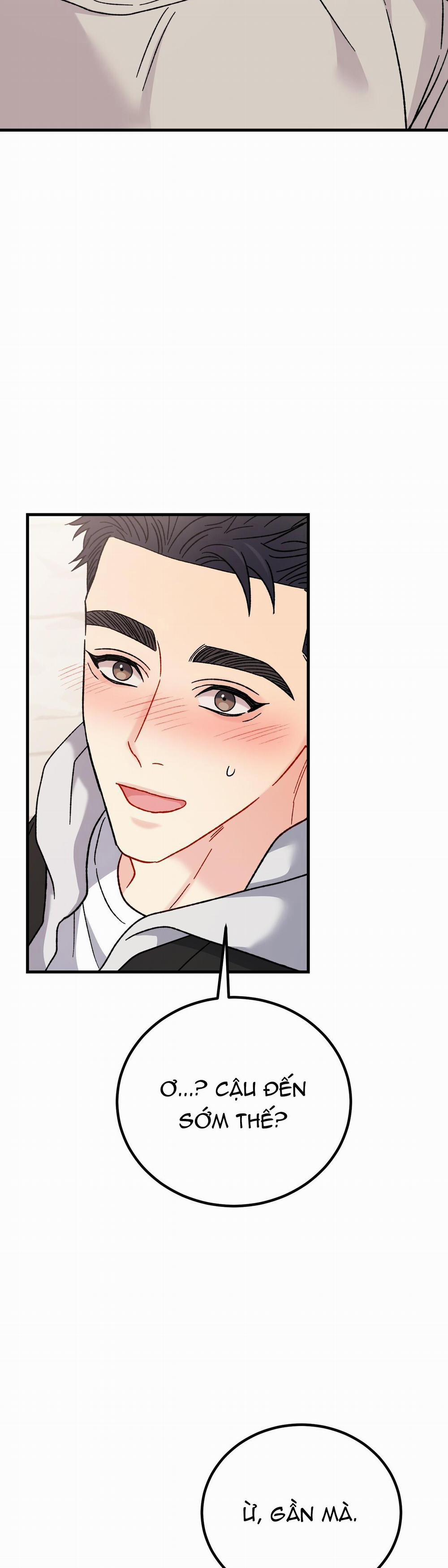 Cậu Không Phải Là Gu Của Tôi 15 trang 2