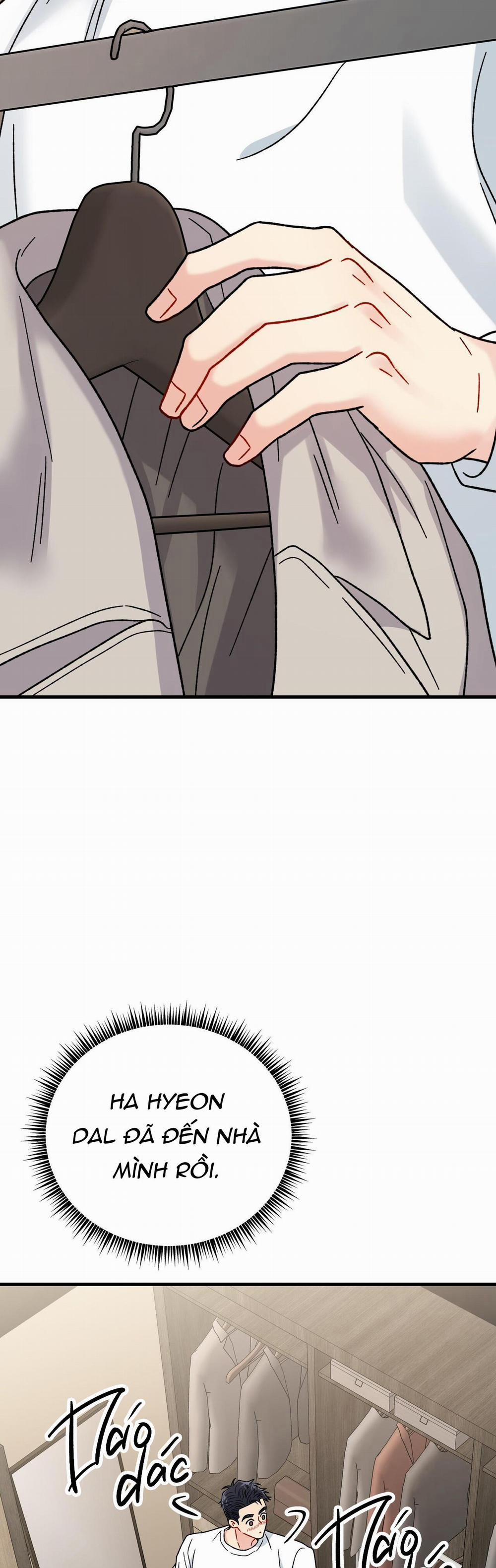 Cậu Không Phải Là Gu Của Tôi 15 trang 51