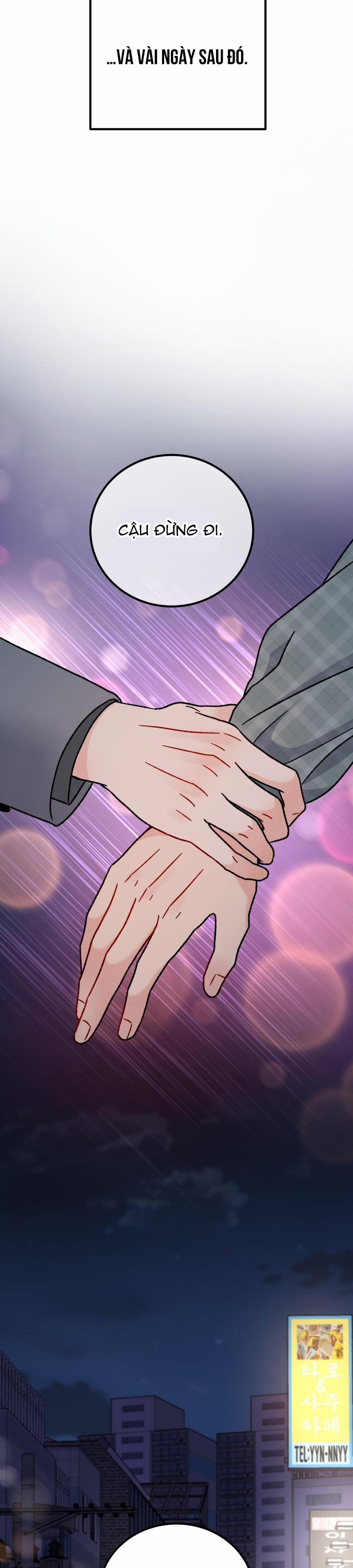 Cậu Không Phải Là Gu Của Tôi 19 trang 48