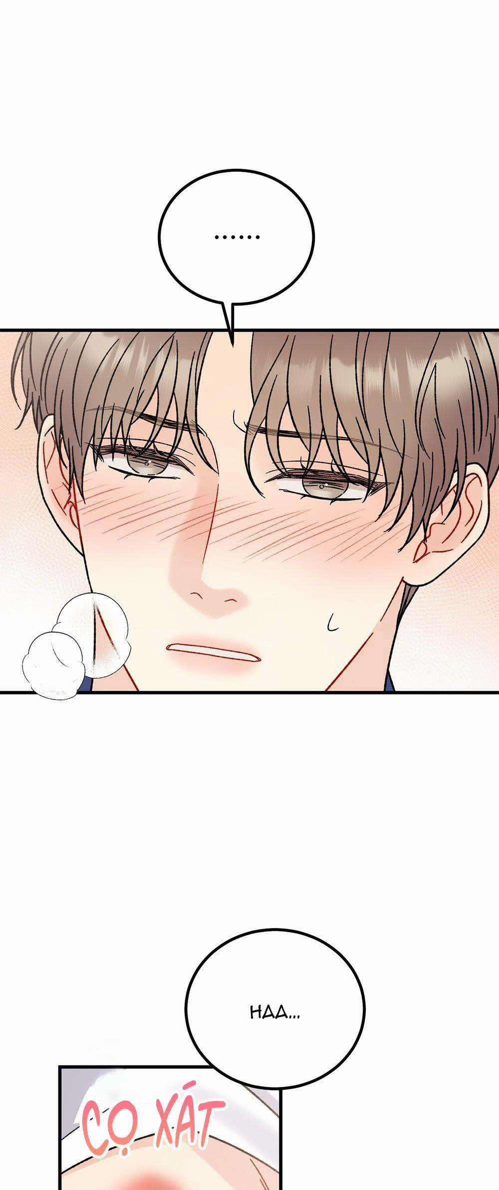 Cậu Không Phải Là Gu Của Tôi 26 trang 11