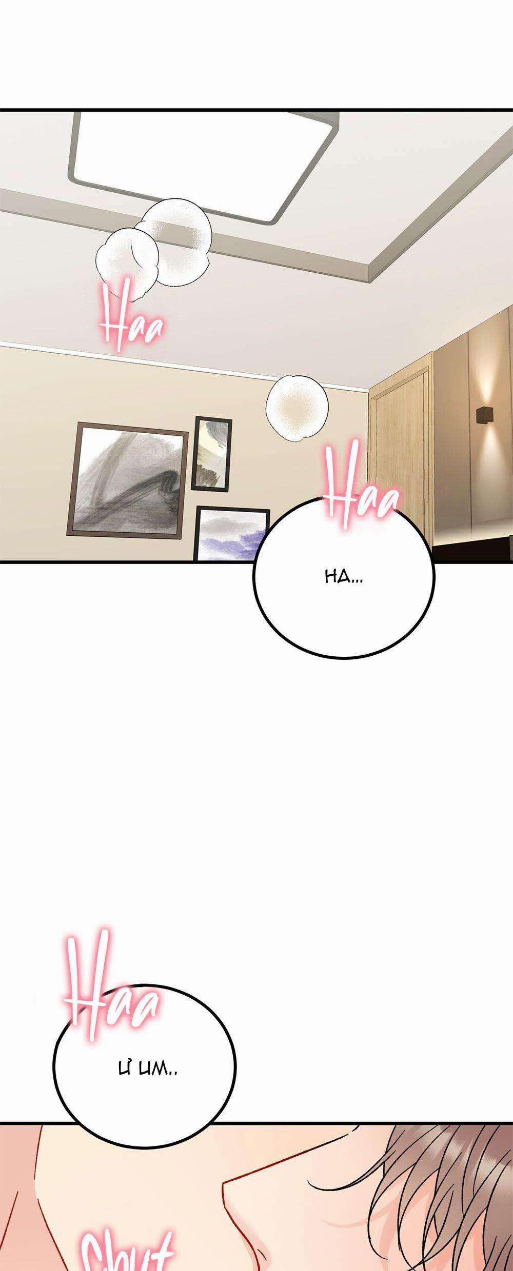 Cậu Không Phải Là Gu Của Tôi 26 trang 2