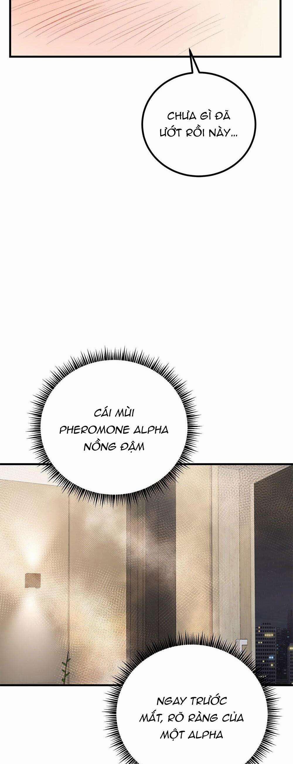 Cậu Không Phải Là Gu Của Tôi 26 trang 23