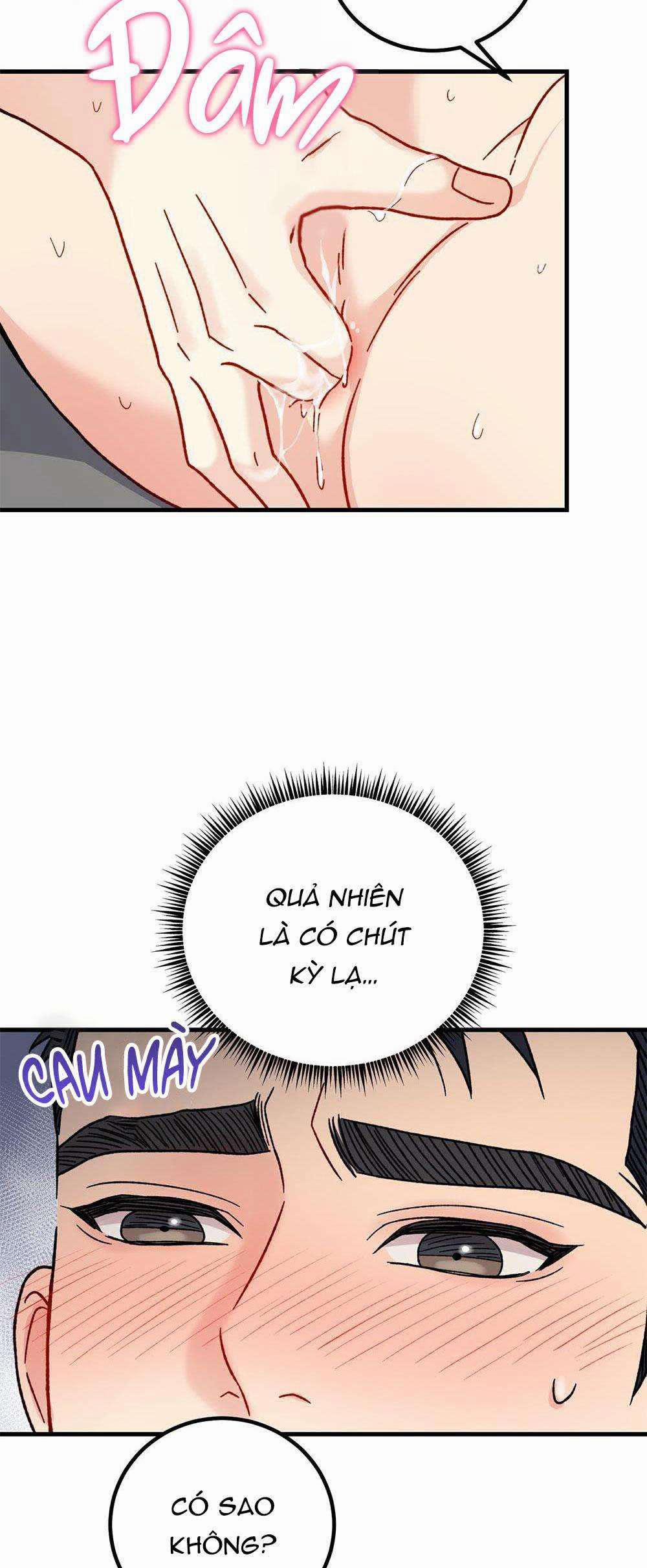 Cậu Không Phải Là Gu Của Tôi 26 trang 37