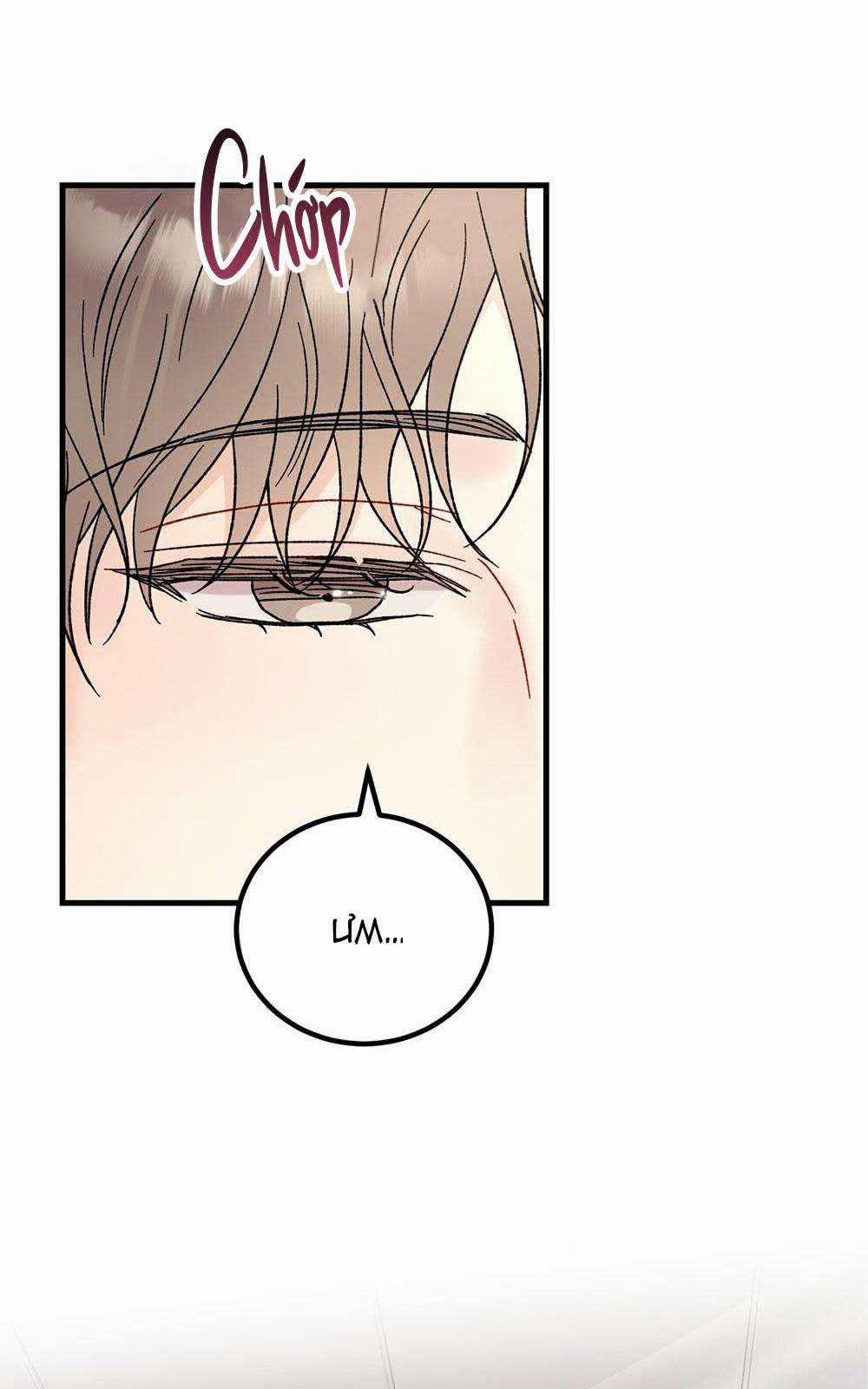 Cậu Không Phải Là Gu Của Tôi 27 trang 25