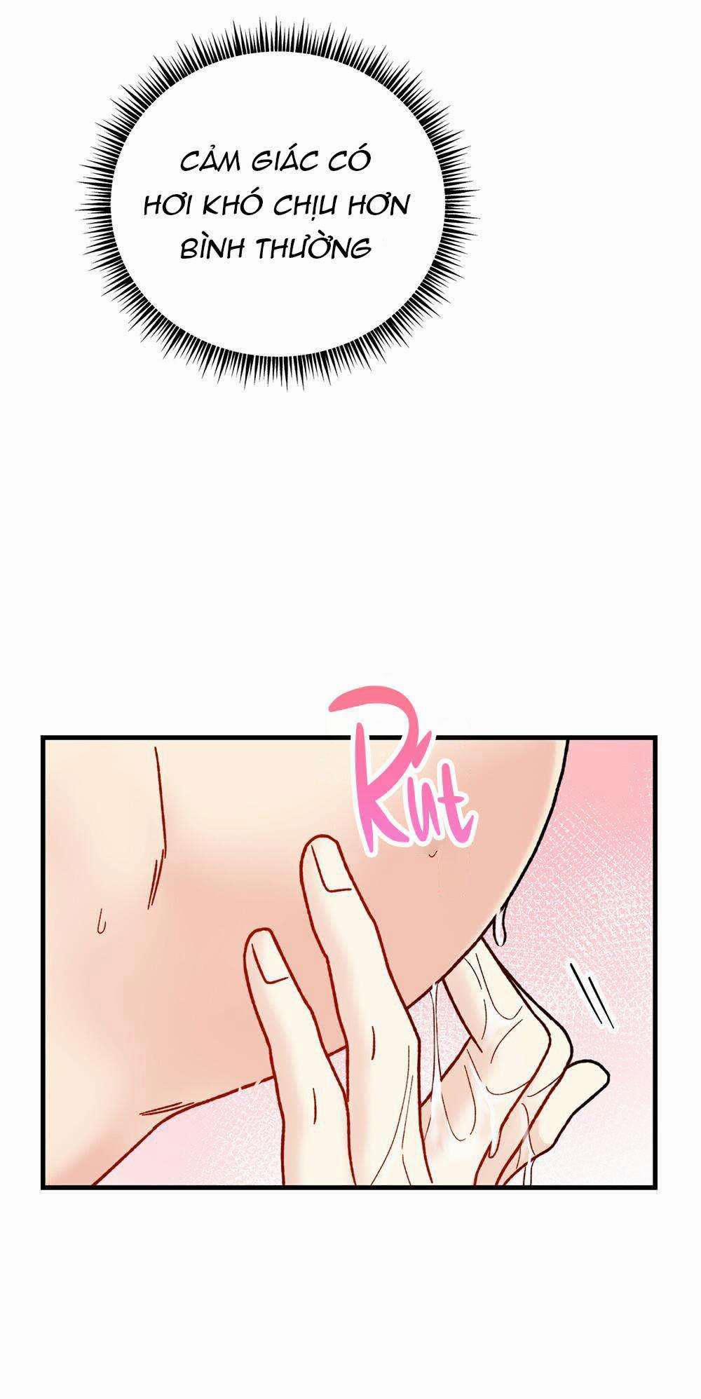 Cậu Không Phải Là Gu Của Tôi 27 trang 67