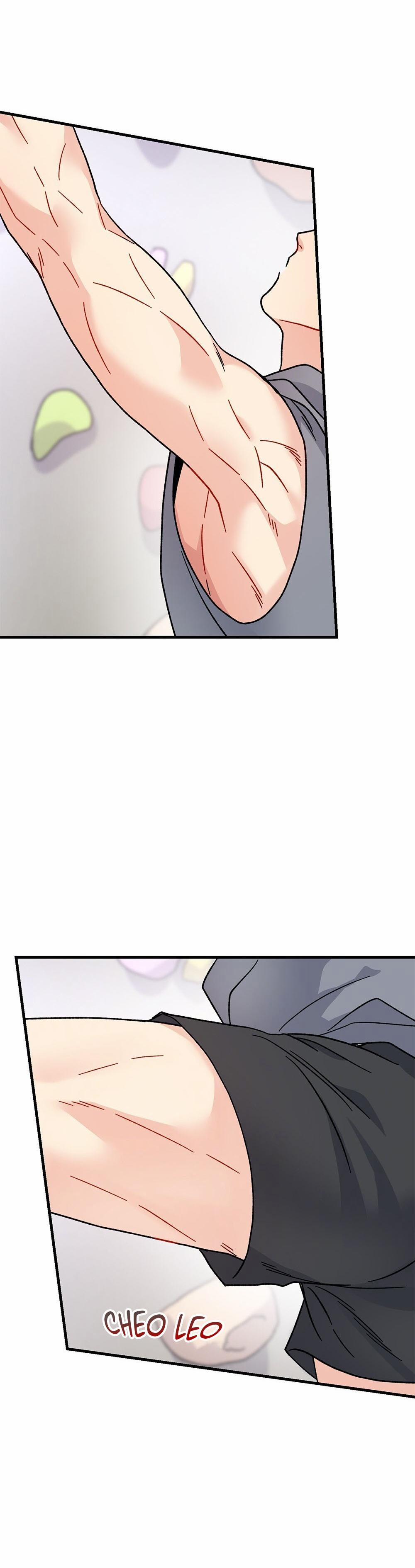 Cậu Không Phải Là Gu Của Tôi 32 trang 5