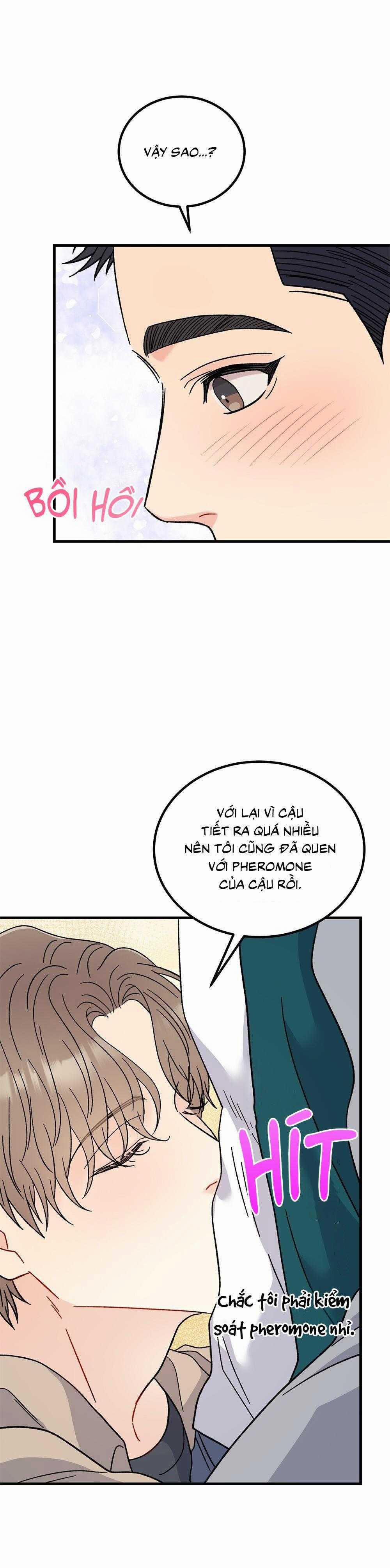 Cậu Không Phải Là Gu Của Tôi 33 trang 12