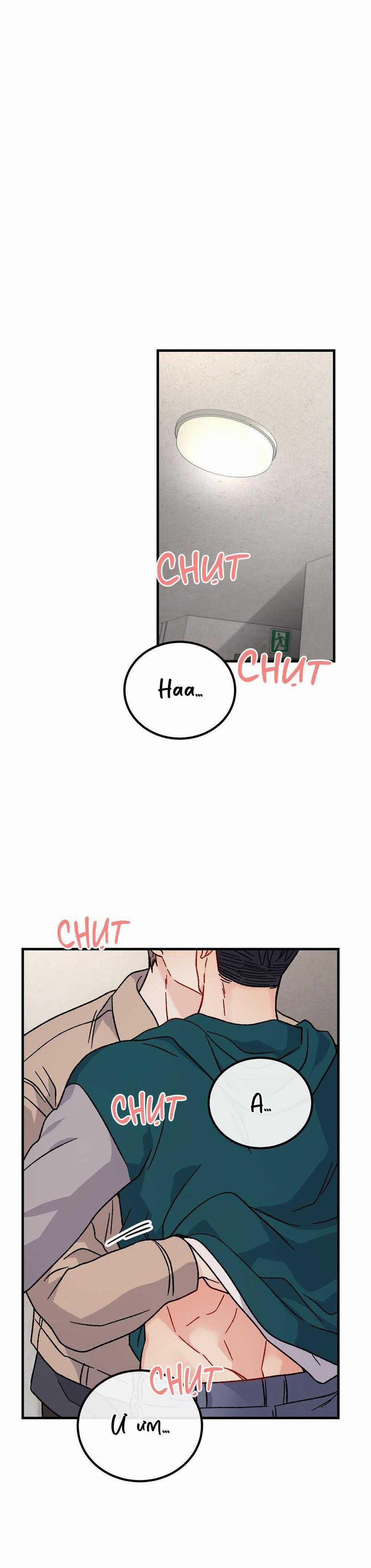 Cậu Không Phải Là Gu Của Tôi 33 trang 2