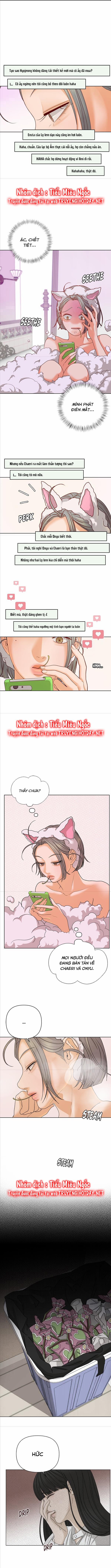 Câu Lạc Bộ Của Những Lọ Lem 63 trang 1