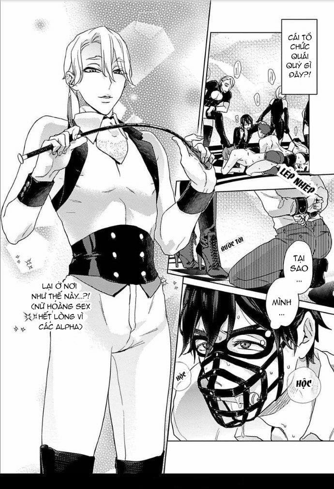 Câu Lạc Bộ Đêm Của Omega-Sama 1 trang 0