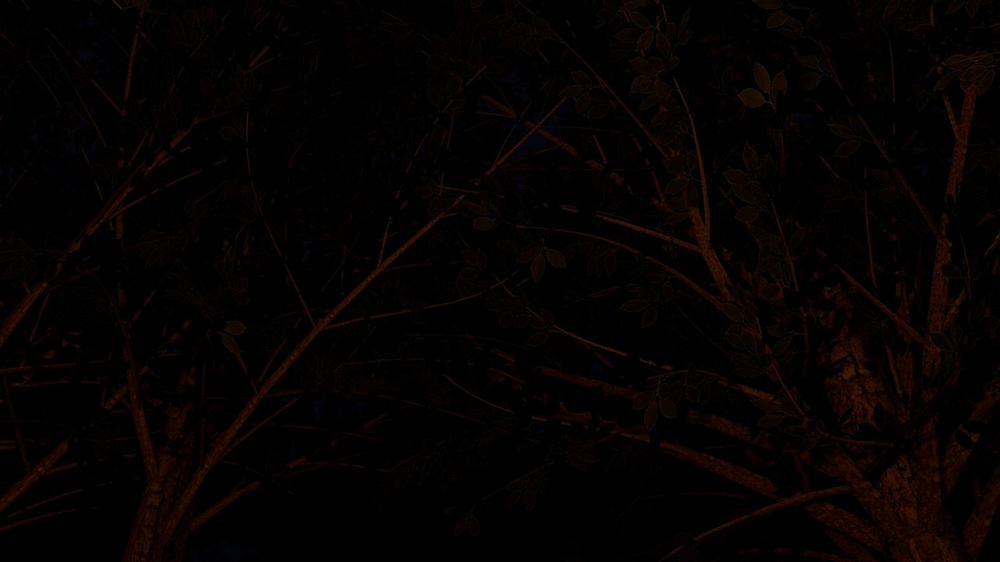 Câu lạc bộ leo núi! 4 trang 13