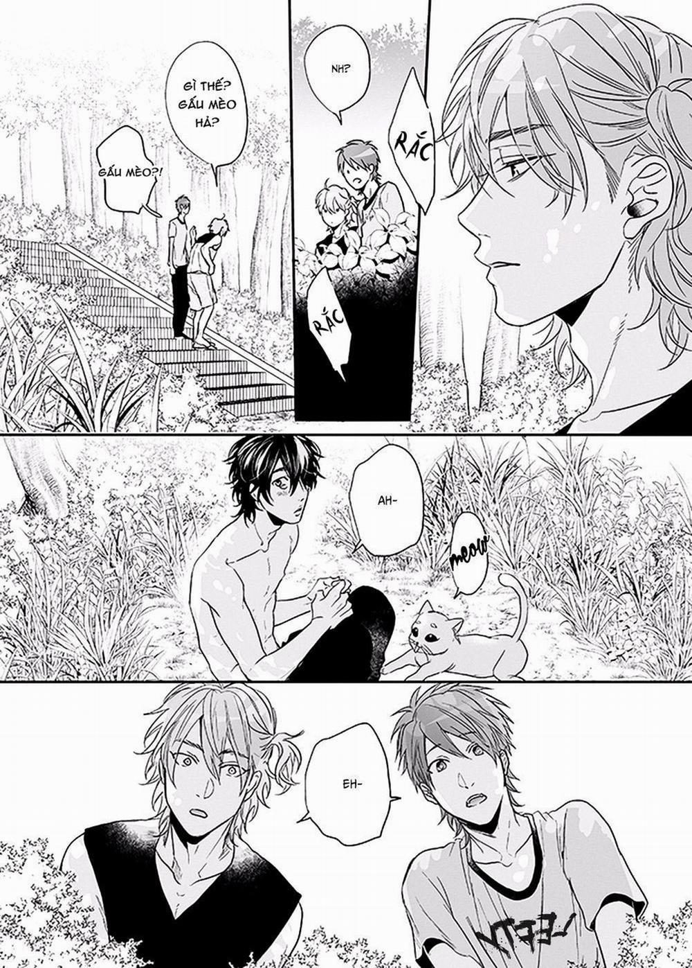 Câu Lạc Bộ Nhiếp Ảnh 9 trang 27