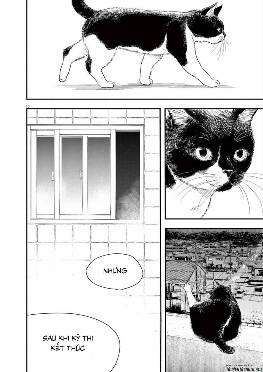 Câu Lạc Bộ Những Kẻ Mất Ngủ 112 trang 10