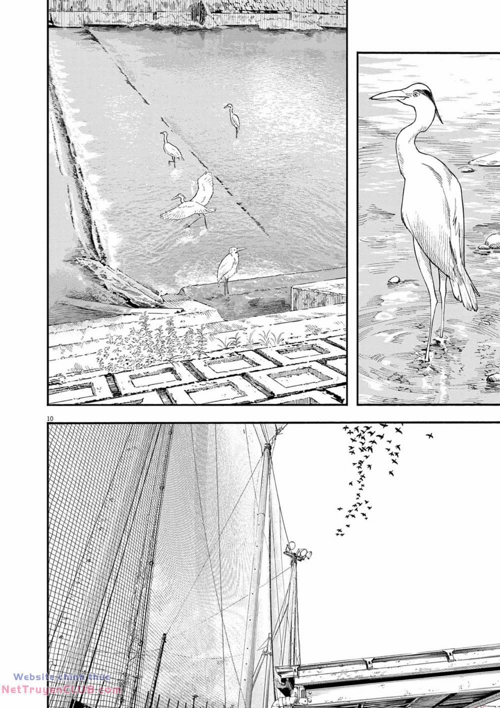 Câu Lạc Bộ Những Kẻ Mất Ngủ 125 trang 10