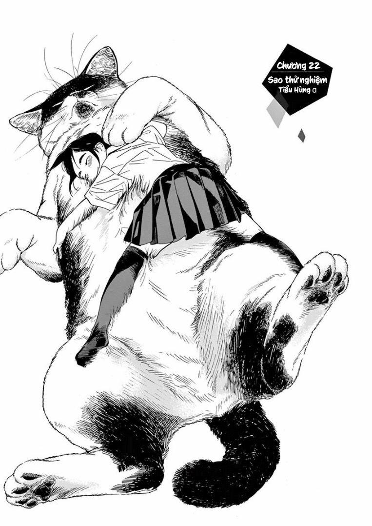 Câu Lạc Bộ Những Kẻ Mất Ngủ 22 trang 1